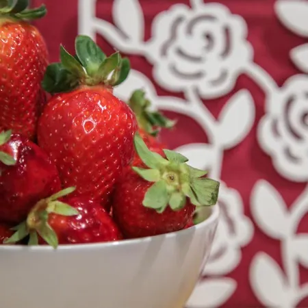 Lionora Bed and Breakfast